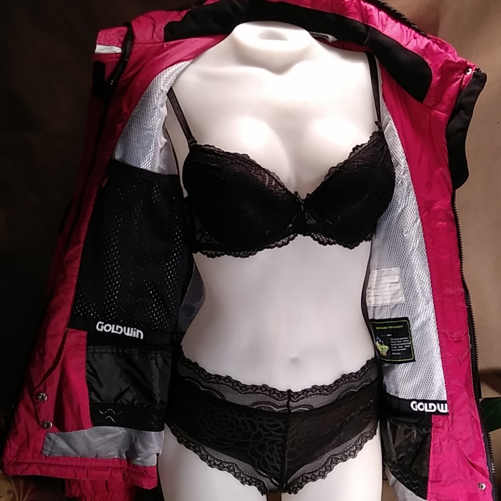 Goldwin Ski Jacket - image 6